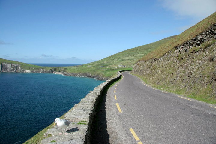 Dingle Marathon